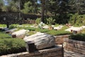 National Military Cemetery on Mount Herzl Royalty Free Stock Photo